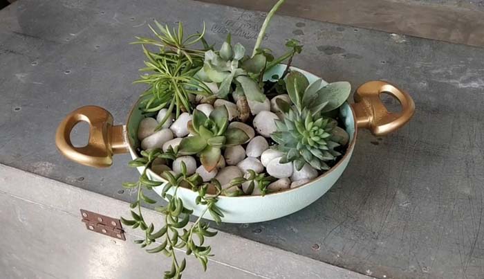 DIY Succulent Planter from an Old Frying Pan #planter #olditems #kitchen #decorhomeideas