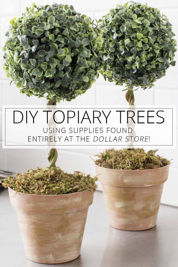 DIY Topiary Trees From Dollar Store Supplies #dollarstore #diy #homedecor #decorhomeideas