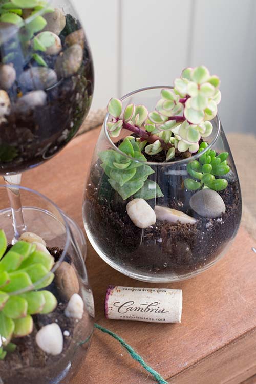 DIY Wine Glass Terrariums #planter #olditems #kitchen #decorhomeideas