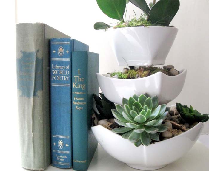 Easy Succulent Planter #dollarstore #diy #homedecor #decorhomeideas