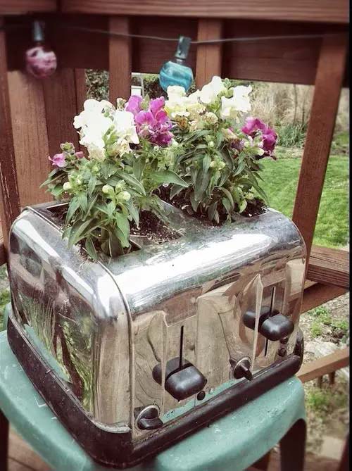 Flowers in a Toaster #planter #olditems #kitchen #decorhomeideas