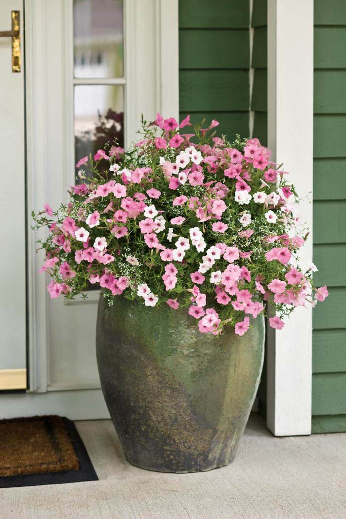 Giant Clay Front Door Flower Pot Design #flowerpot #frontdoor #frontporch #decorhomeideas