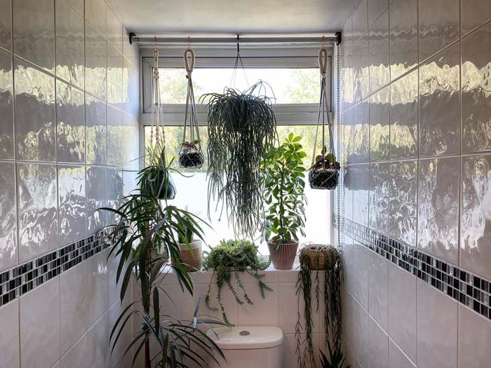 Hanging Plant Privacy Screen #plants #bathroom #hanging #decorhomeideas