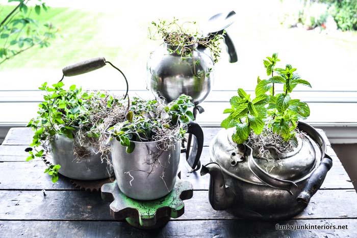 Herbs in Old Kettle #planter #olditems #kitchen #decorhomeideas