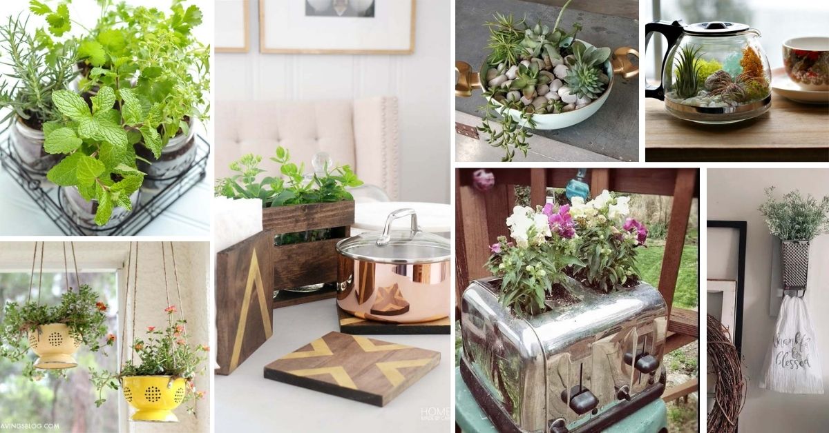 Indoor Planters From Old Kitchen Items