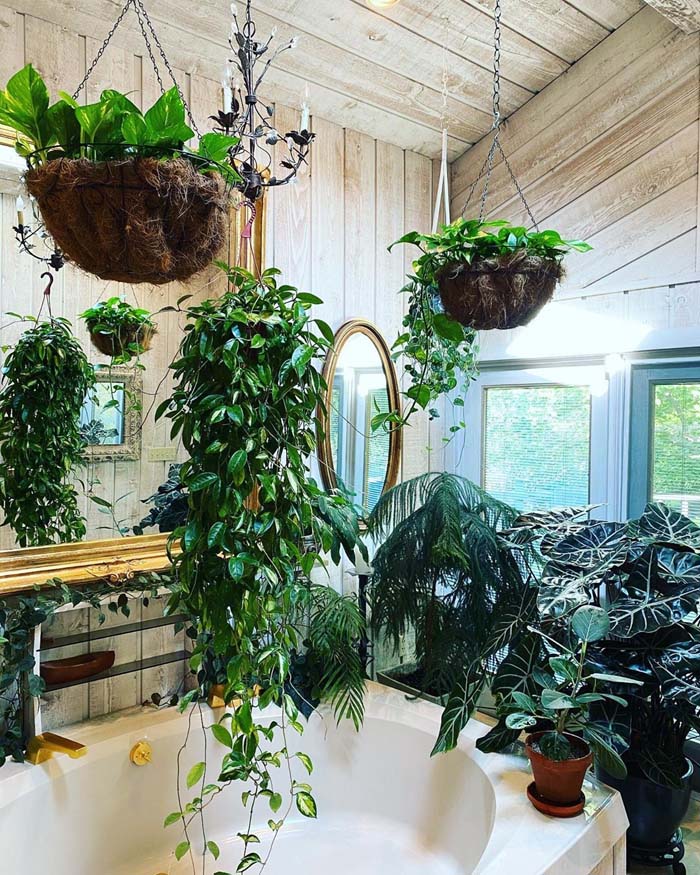 Jungle-Style Plant Bathroom #plants #bathroom #hanging #decorhomeideas