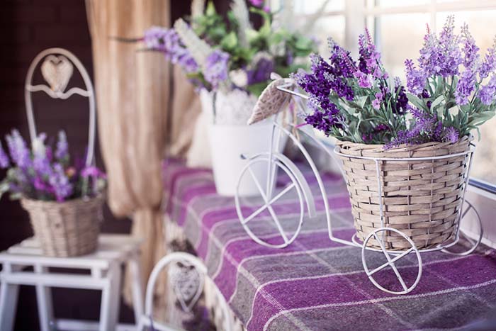 Lavender Flowers Windowsill