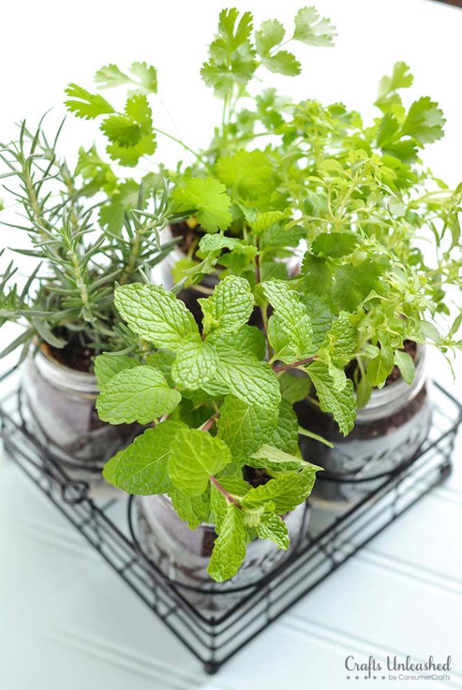 Mason Jar DIY Herb Garden #planter #olditems #kitchen #decorhomeideas