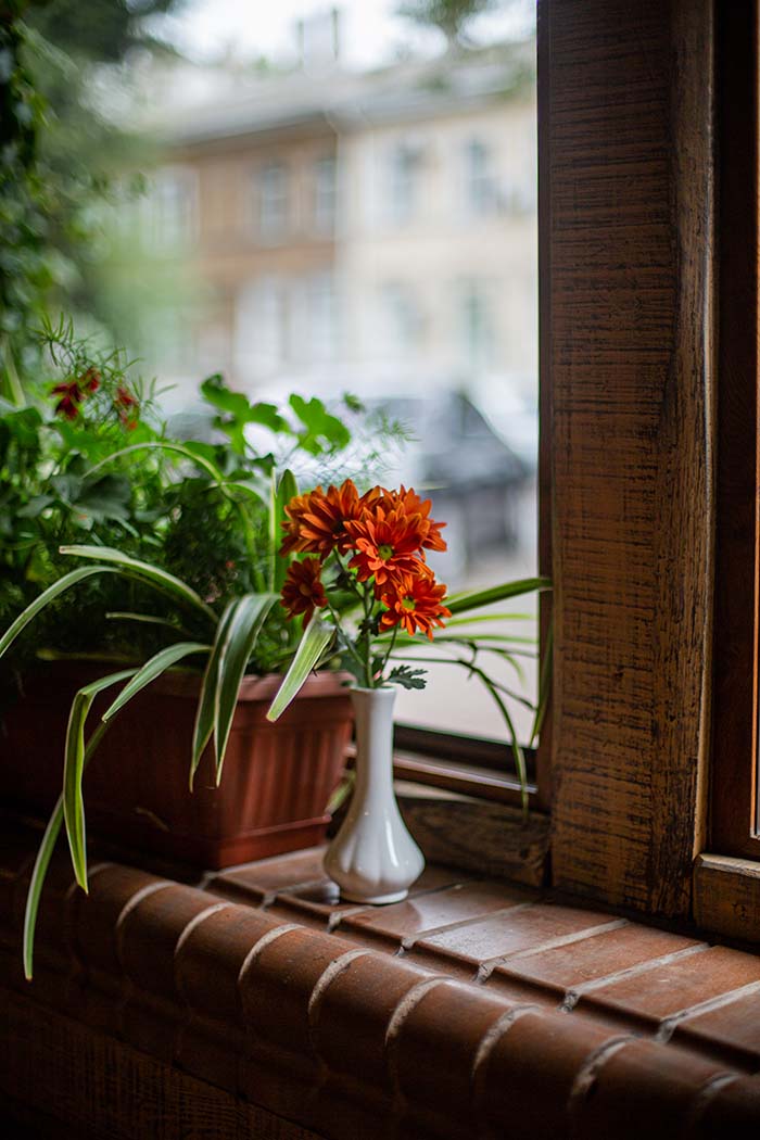 Orange Colored Gerbera