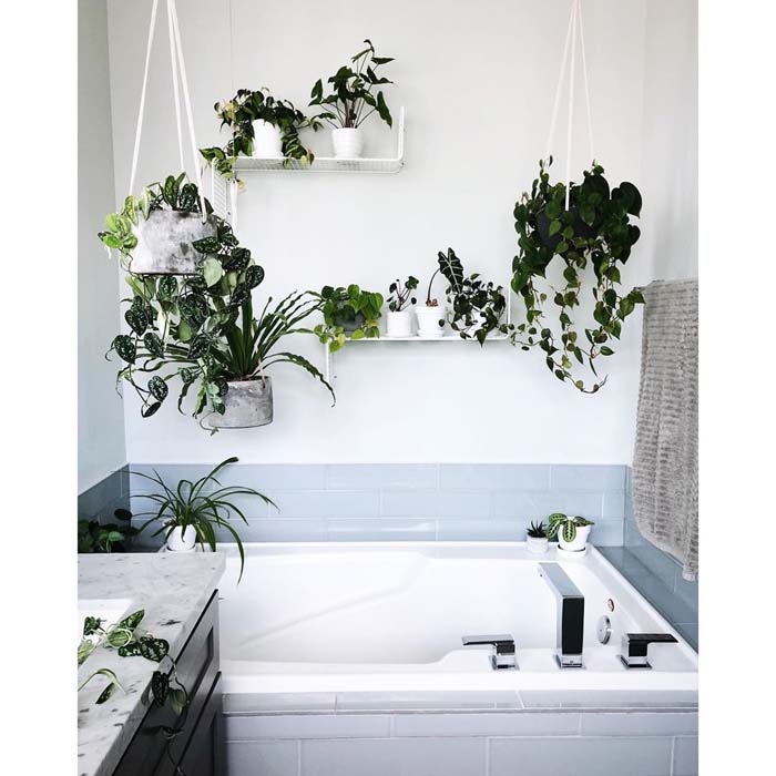 Plants Suspended Above the Tub #plants #bathroom #hanging #decorhomeideas