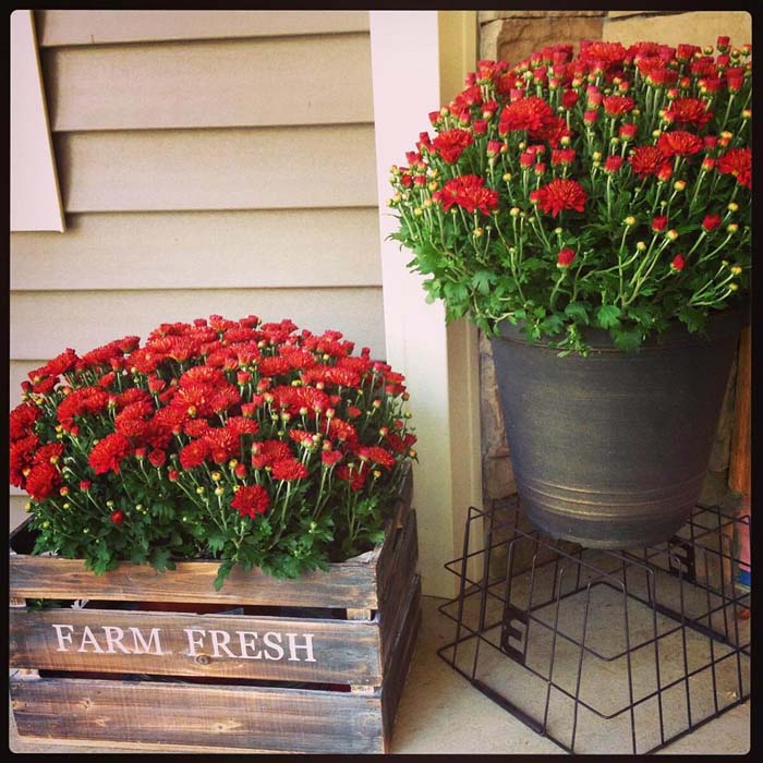 Rustic Metal Bucket and Wood Crate Planters #flowerpot #frontdoor #frontporch #decorhomeideas
