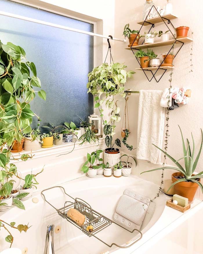 Shower Curtain Rod as a Plant Hanger #plants #bathroom #hanging #decorhomeideas