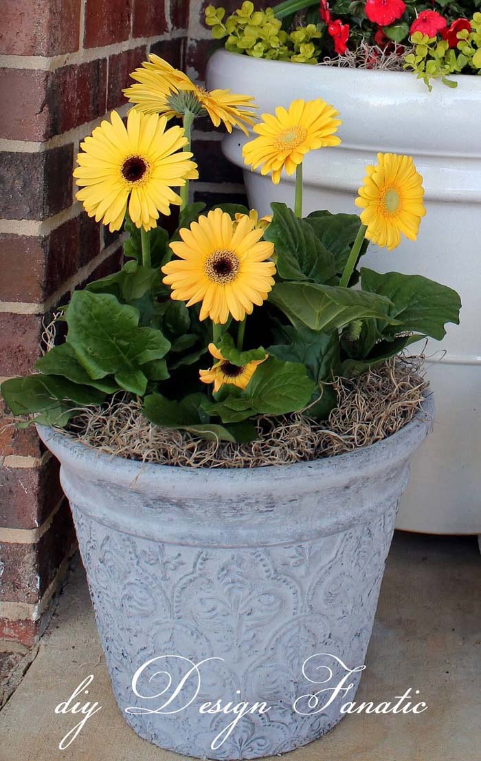 Spray Painted Textured Flower Pot #flowerpot #frontdoor #frontporch #decorhomeideas