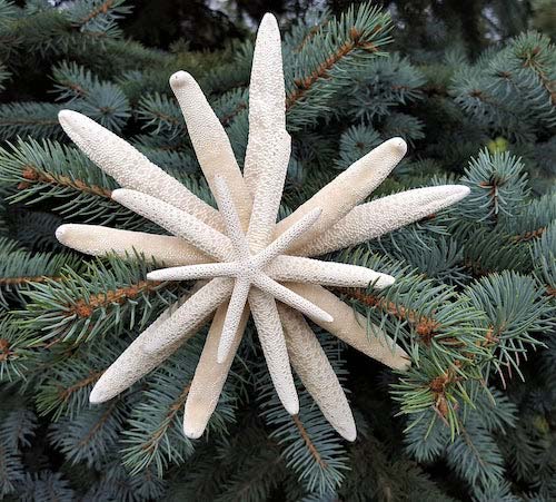 Starfish Coastal Tree Topper #diy #coastal #christmas #decorhomeideas