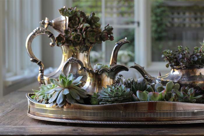 Succulents in a Vintage Silver Tea Set #planter #olditems #kitchen #decorhomeideas