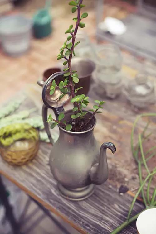 Tea Pot Planter #planter #olditems #kitchen #decorhomeideas