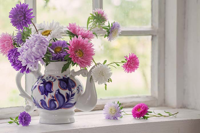 Asters in Teapot on Windowsill Stock Image - Image of decor, glass ...