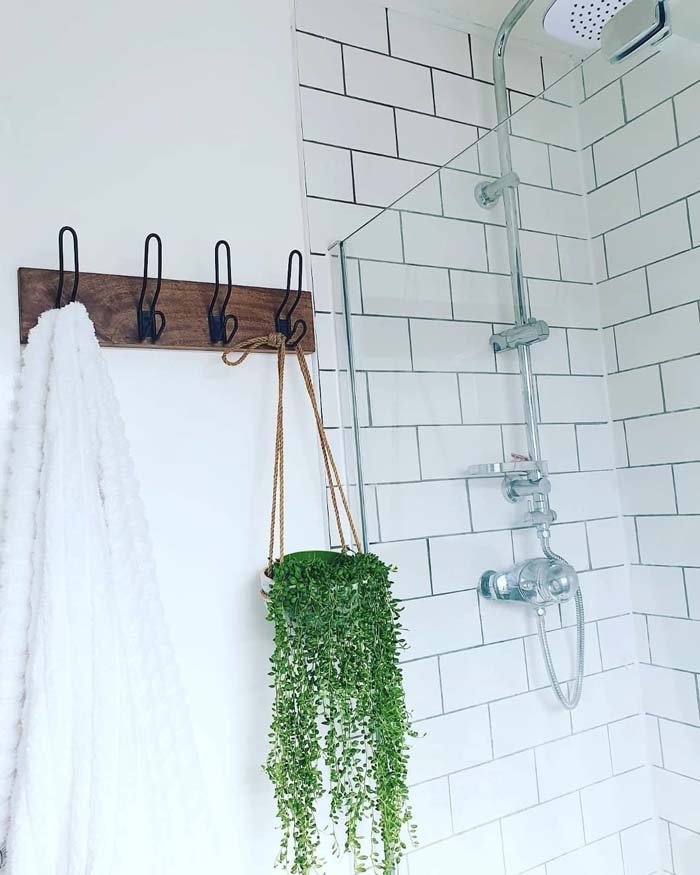 Towel Hooks as Plant Hangers #plants #bathroom #hanging #decorhomeideas