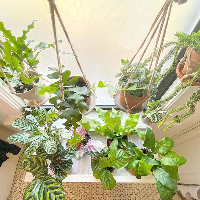 Twine Hanging Platforms and Potted Plants #plants #bathroom #hanging #decorhomeideas