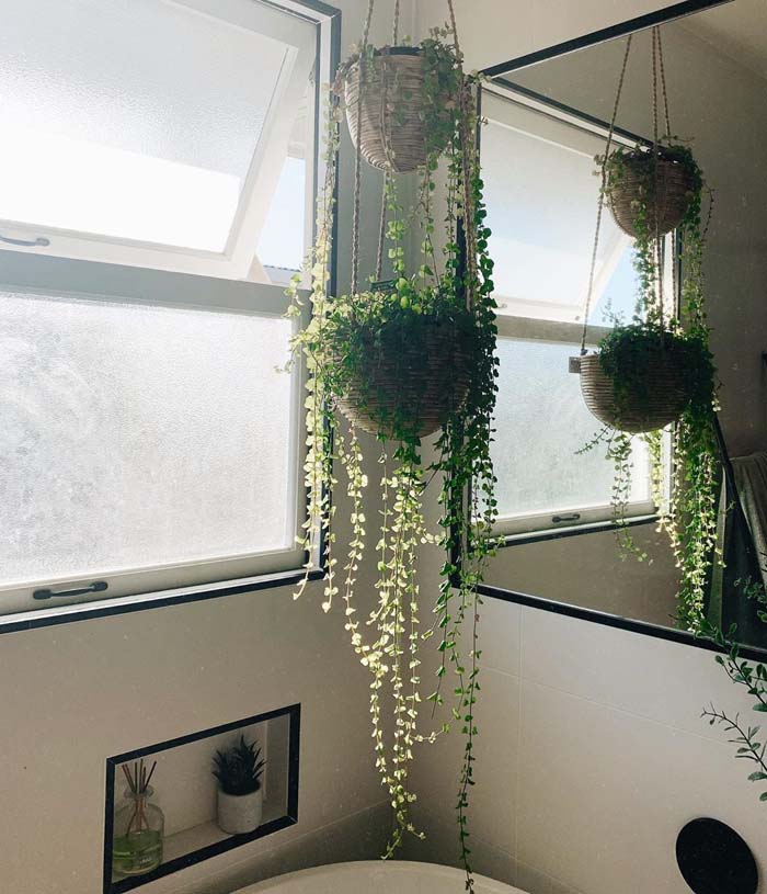 Two-Tier Corner Greenery #plants #bathroom #hanging #decorhomeideas
