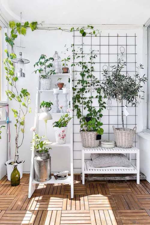 A Metal Frame for Climbing Indoor Vines #verticalgarden #homedecor #decorhomeideas