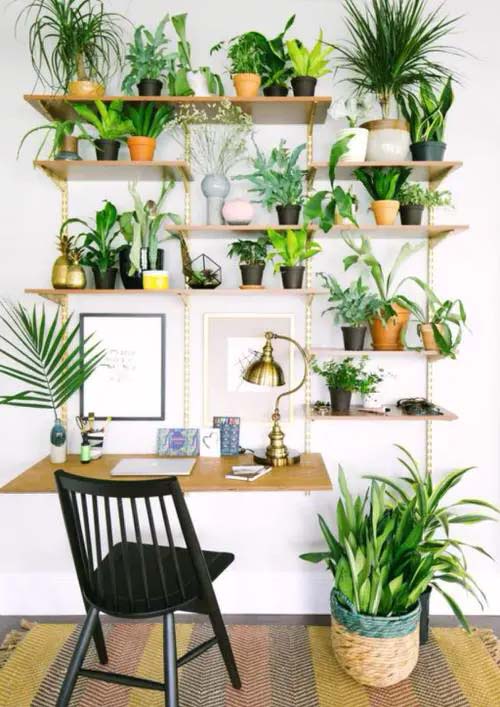 A Plant Showcase #verticalgarden #homedecor #decorhomeideas