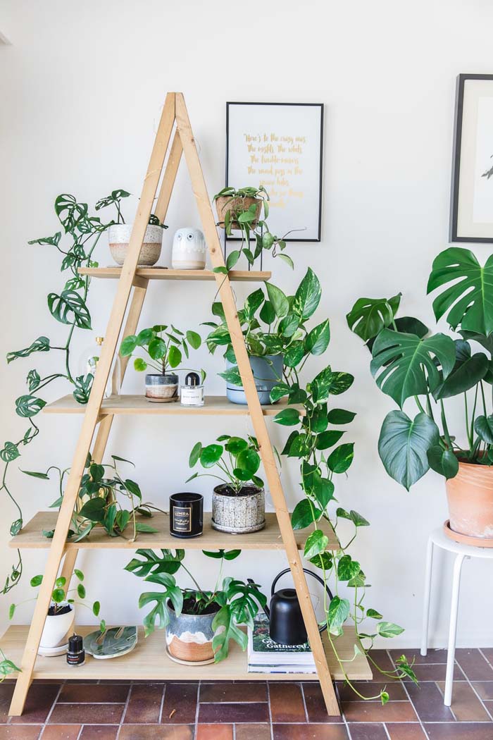 A Shape Plant Stand #ladderplanter #decorhomeideas