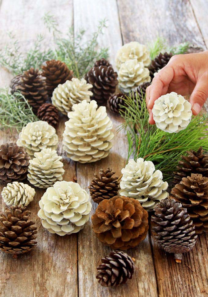 Bleached Pinecones Christmas Decor