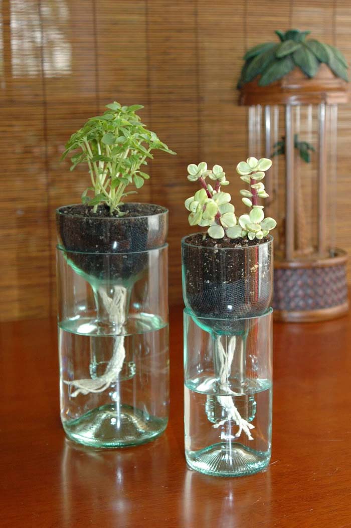 DIY Self Watering Wine Bottle Planter #winebottle #crafts #repurpose #decorhomeideas