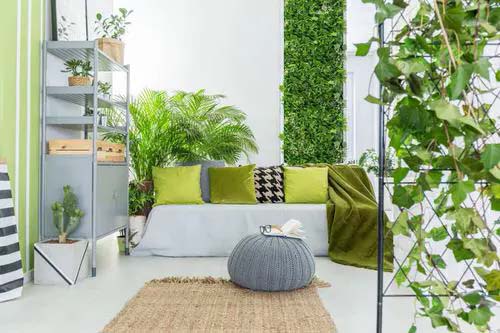 Eco-Friendly Living Room #verticalgarden #homedecor #decorhomeideas