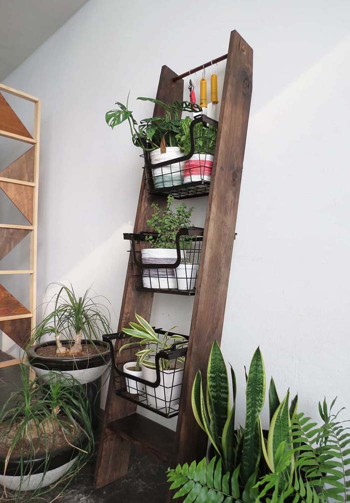 How To Build Vertical Ladder Plant #ladderplanter #decorhomeideas