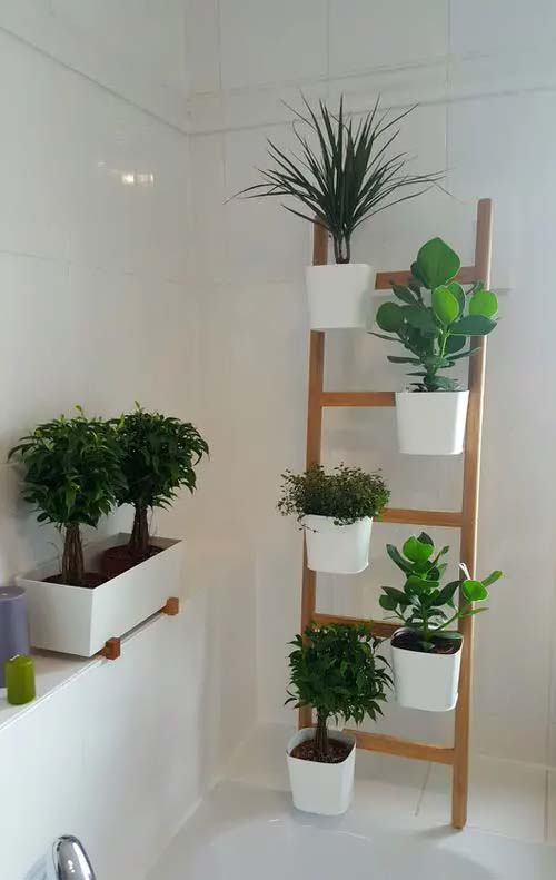 Ikea Ladder Plant Stand #verticalgarden #homedecor #decorhomeideas