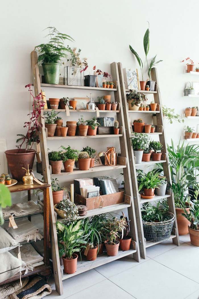 Indoor Garden Ladder Shelf #ladderplanter #decorhomeideas