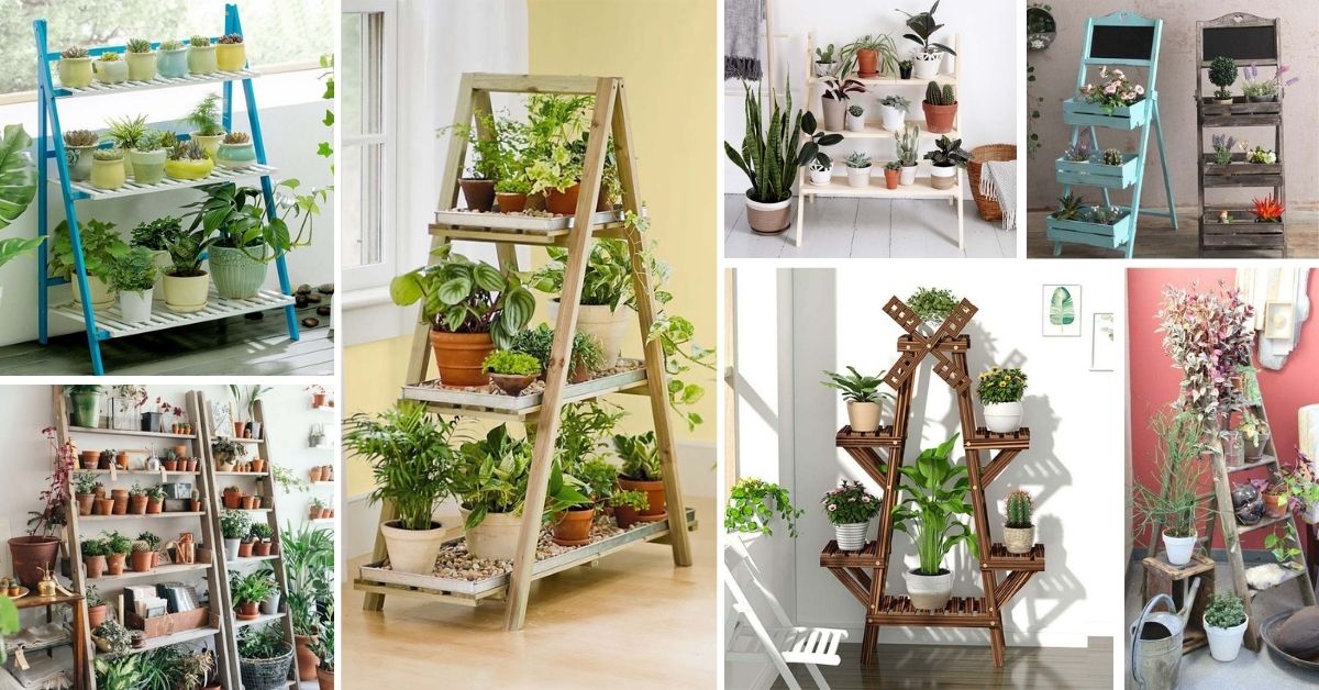 Indoor Ladder Planter Ideas