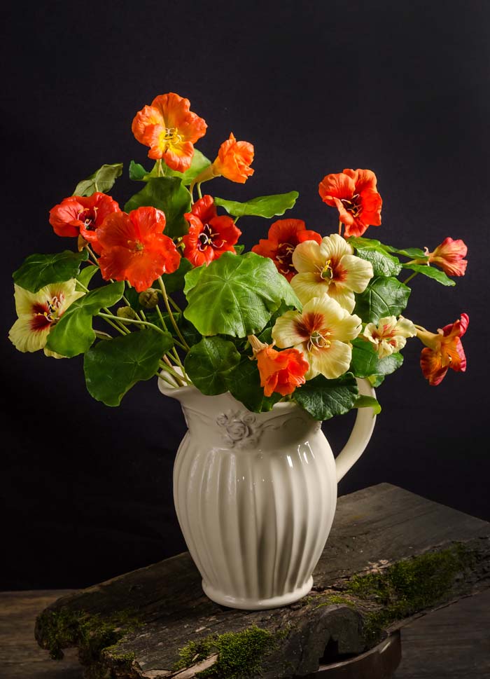 Nasturtium #indoorplant #seeds #decorhomeideas