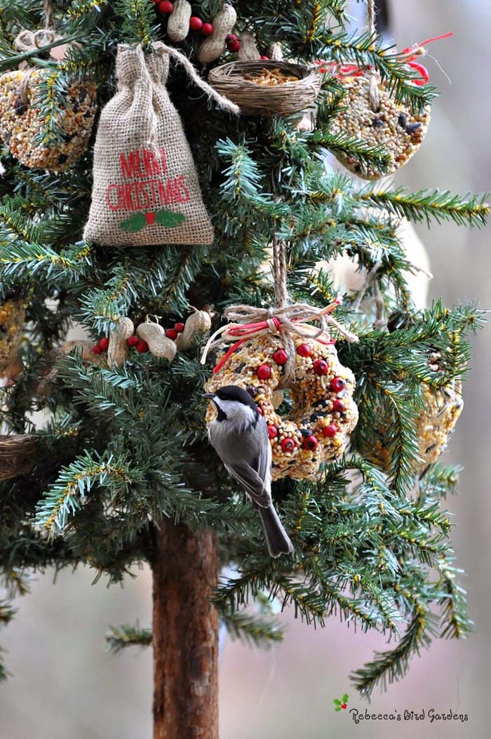 Natural Bird Seed Ornament Tree #Christmastree #outdoor #decorhomeideas