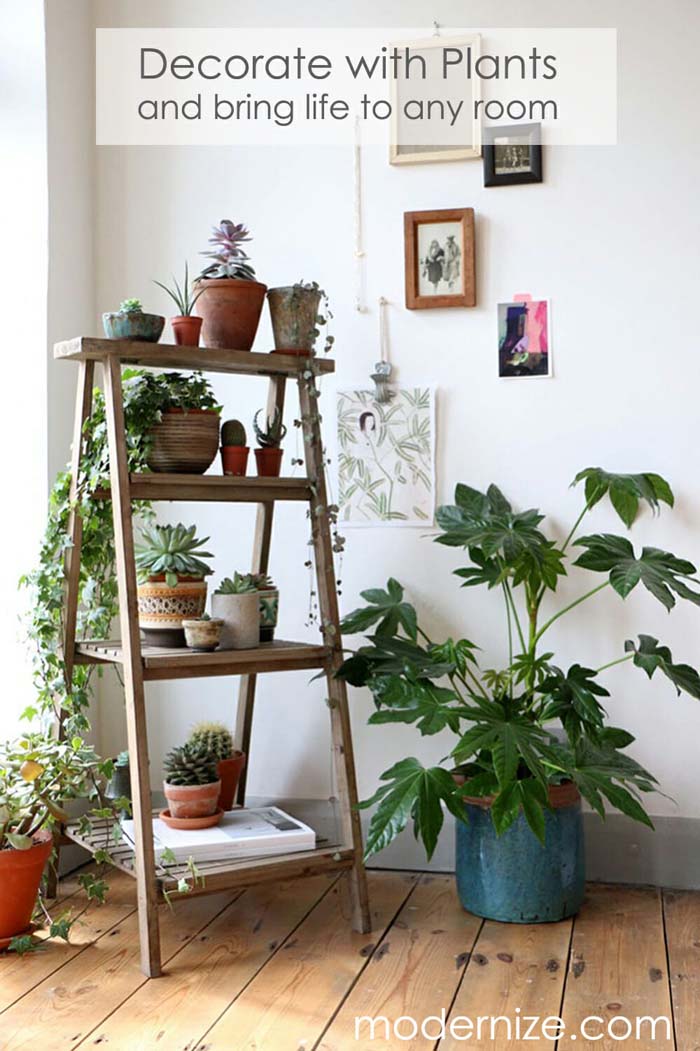 Paintings Blue Pot And A Ladder #ladderplanter #decorhomeideas