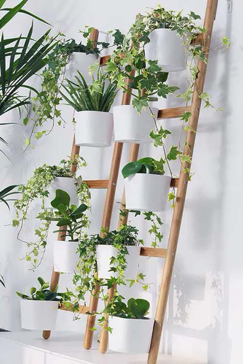 Pair of Mini Ladders #verticalgarden #homedecor #decorhomeideas