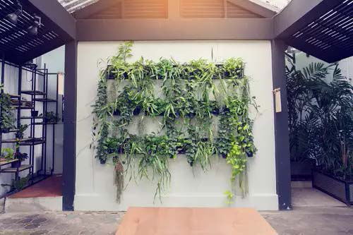 Plant Wall Art #verticalgarden #homedecor #decorhomeideas