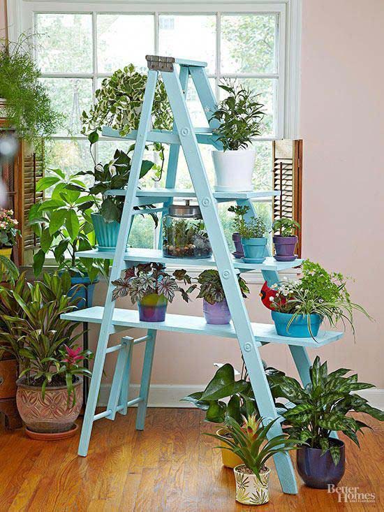 Powder Blue Ladder Planter #ladderplanter #decorhomeideas
