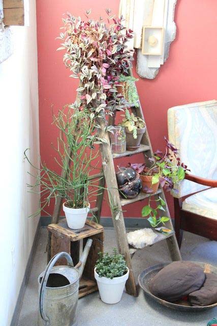 Rustic Ladder Planter With Vines #ladderplanter #decorhomeideas