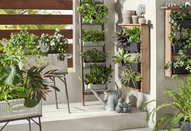 Standing Tall #ladderplanter #decorhomeideas