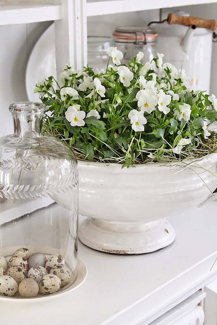 White Violas Planted in Antique Ceramic Dish #frenchcountry #decor #decorhomeideas