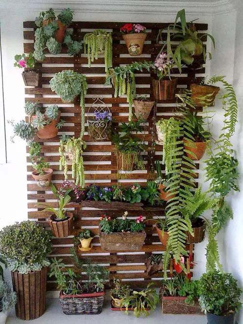 Wooden Plant Hanger on Balcony #verticalgarden #homedecor #decorhomeideas