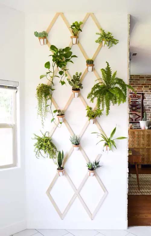 Wooden Wall Trellis #verticalgarden #homedecor #decorhomeideas