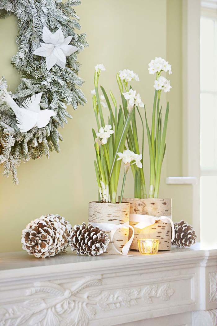 Pot Flowering Bulbs #Christmas #style #decorhomeideas