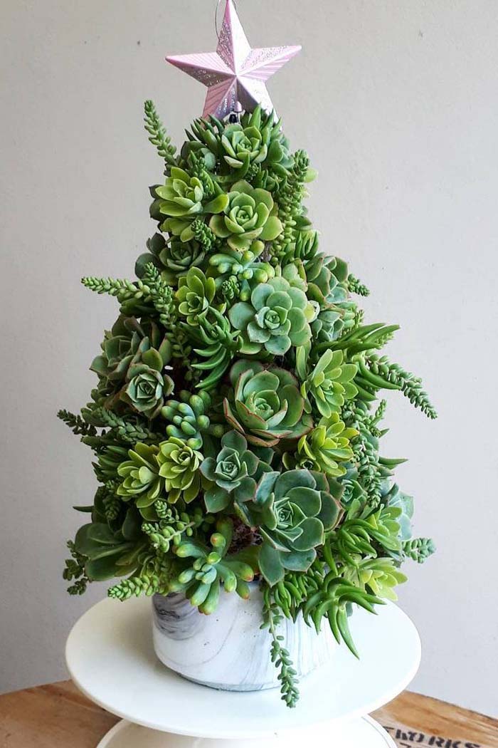 Succulent Christmas Tree #Christmas #Christmastree #nontraditional #decorhomeideas