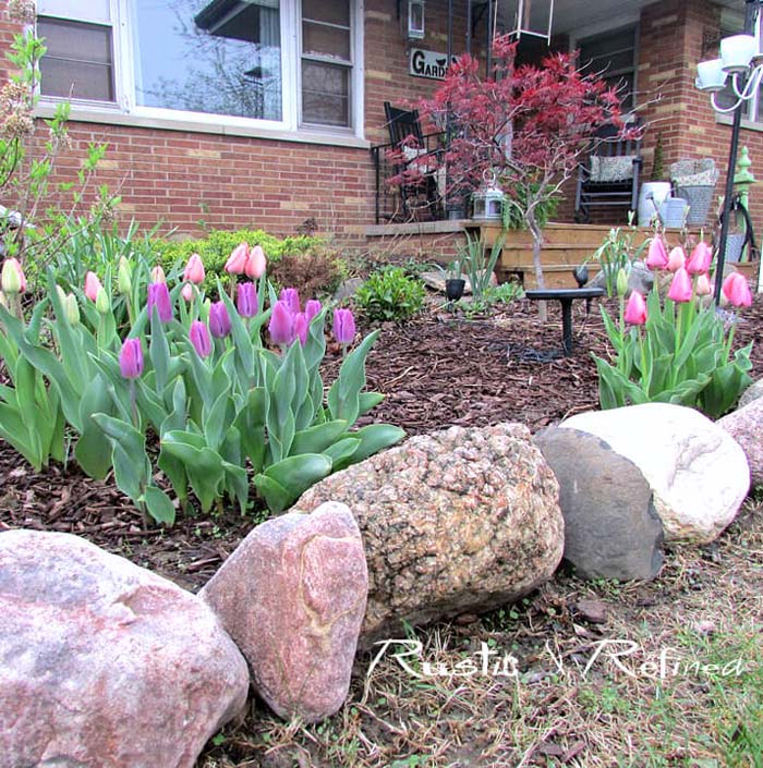 A Beautiful Bed of Tulips Perfect for Spring #spring #garden #decorhomeideas