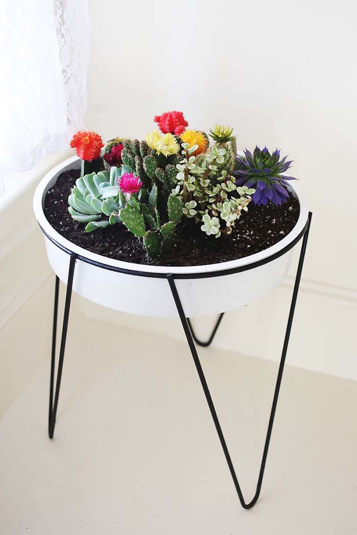 A Vintage Planter Cacti Garden #diy #plantstand #decorhomeideas