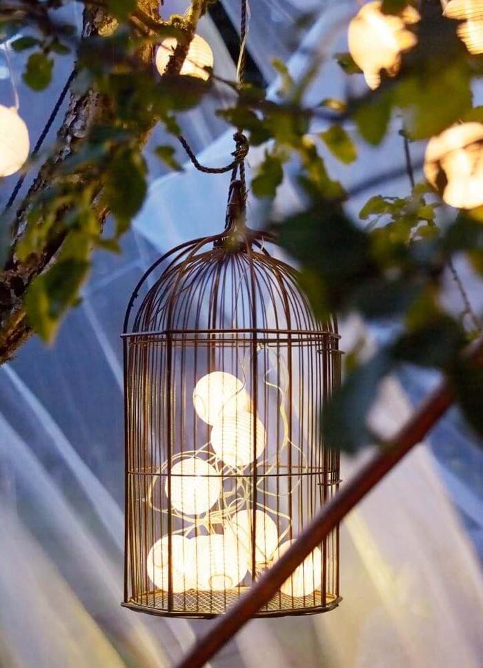 Add a Bird-cage to your Tree Lighting for Interest #lighting #yard #outdoor #decorhomeideas